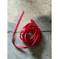 GH2 & GH2F Emergency Strap-Red