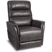 Alivio Picasso 4 Motor ERLC Colour Steel Electric RECLINER CHAIR