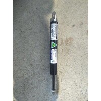 RLC204-070-0250-BA-E1-M10/1 Gas Strut