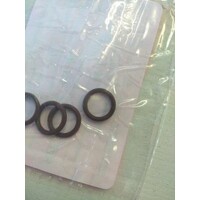 O-Ring (Size 012) TotalCare Be