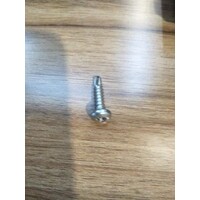 Sorrento Security Screw G304