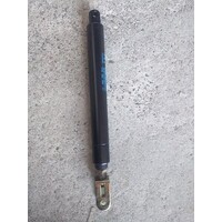 Coinfy Gas Strut - Short - 160L.300N