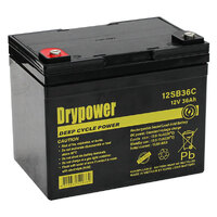 Drypower SLA Battery 12V 36Ah