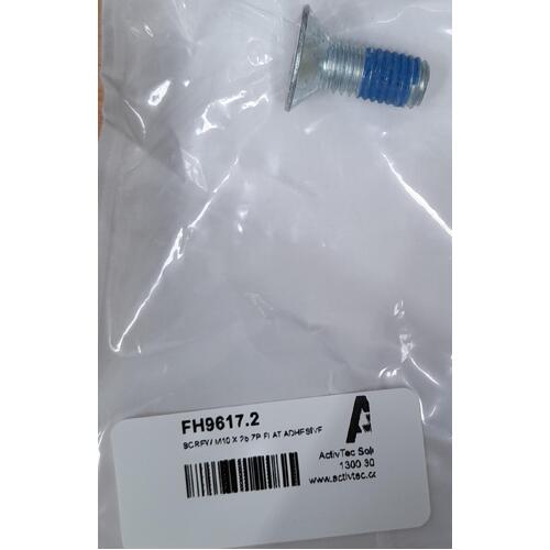 SCREW M10 X 25 ZP FLAT ADHESIVE