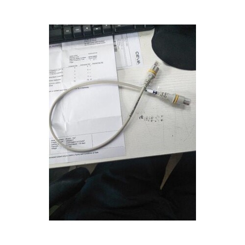 Male To Male Cable - RJ45 / Internet Style Plug - 500mm