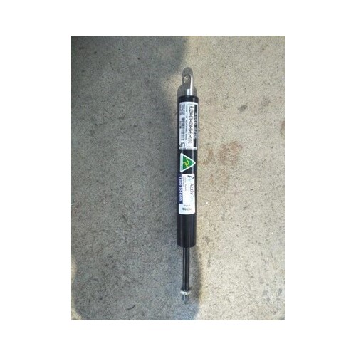 RLC204-070-0250-BA-E1-M10/1 Gas Strut