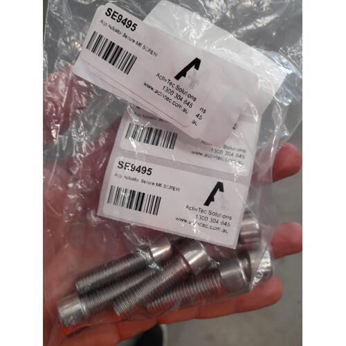 Arjo Actuator Secure M6 SCREW